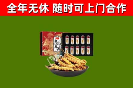 青龙烟酒回收冬虫夏草礼盒.jpg